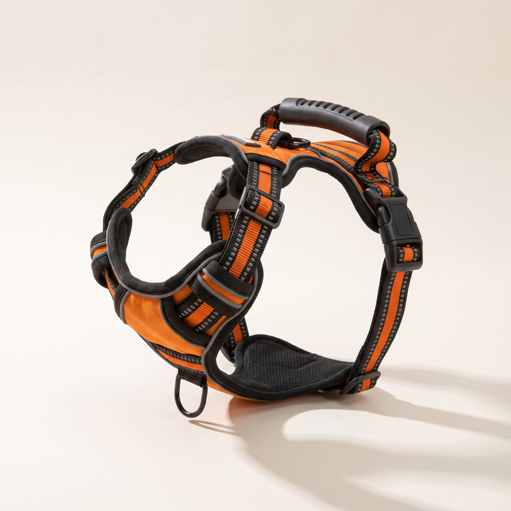 No-Pull Dog Harness – Breathable & Reflective